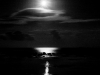 Moonlit Sea