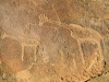 Bushmen rock carvings, Twyfelfontein