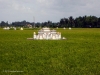 Tomb in rice paddy, Mekong
