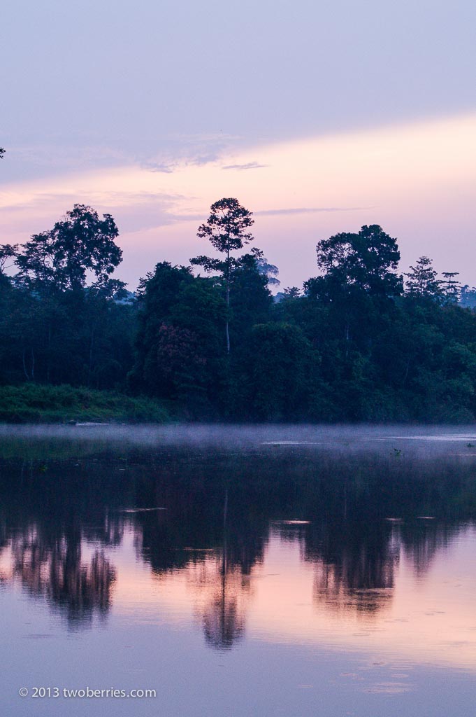 Dawn on the River Kinabatangan