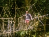 Owen crossing a rope bridge