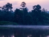 Dawn on the River Kinabatangan