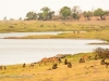 Chobe River