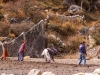 Potato picking in Khunde