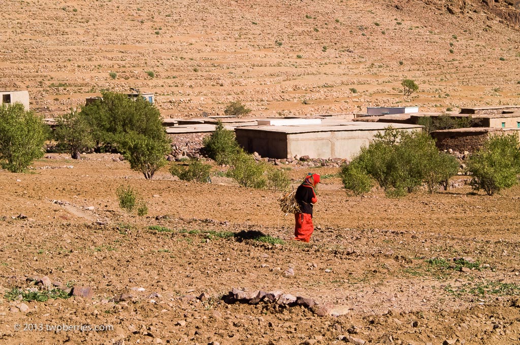Berber woman in the fields
