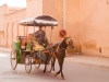 Horse-drawn taxi in Taroundant