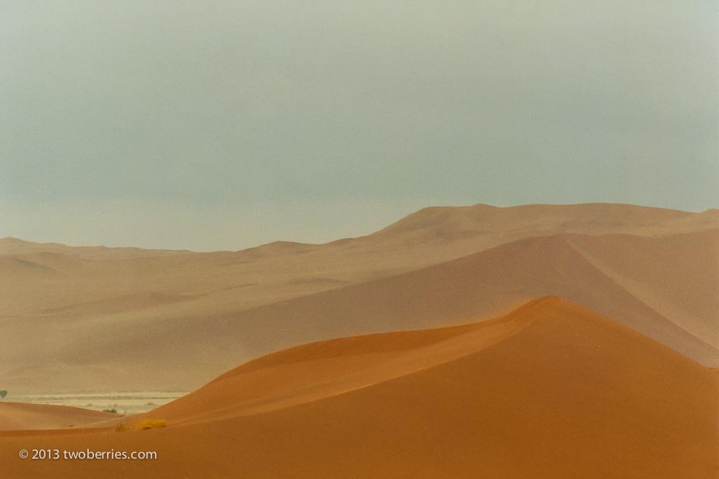 Desert dunes in the Namib
