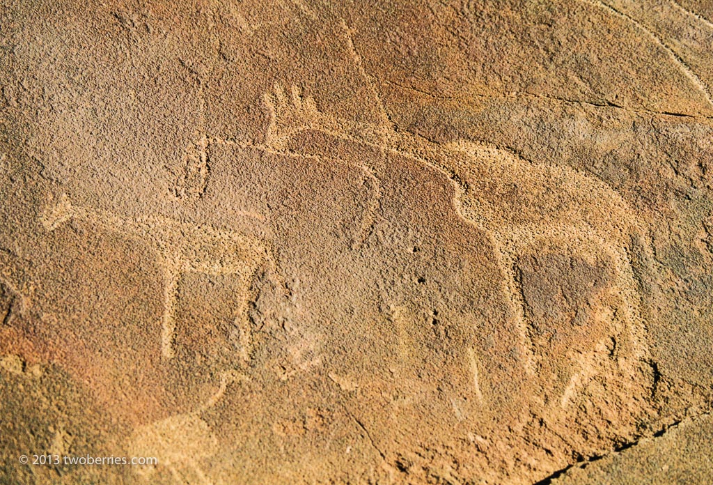 Bushmen rock carvings, Twyfelfontein