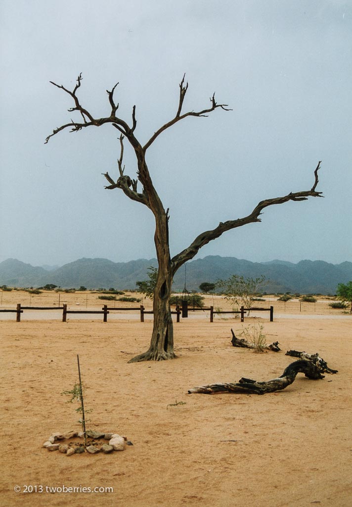 Solitaire, Namib Desert