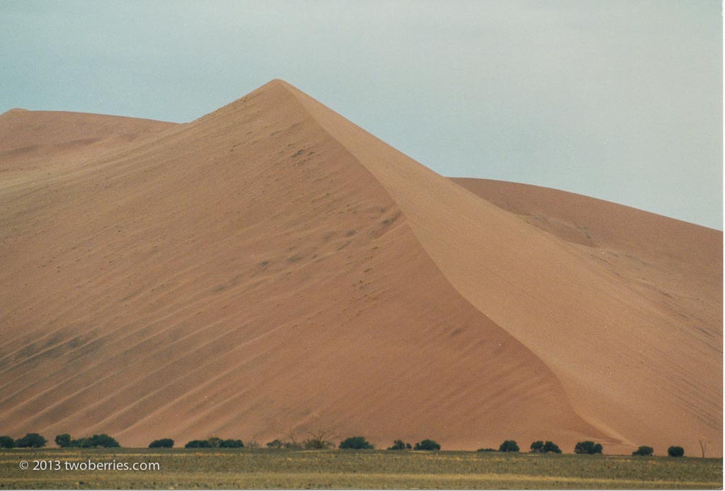 Desert dunes in the Namib