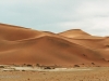 Dunes around Dead Vlie