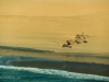 Shipwreck on the Skeleton Coast