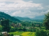 Rice paddy, descending into the Kathmandu valley
